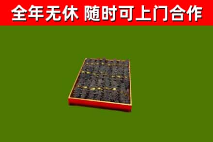 章丘区回收海参